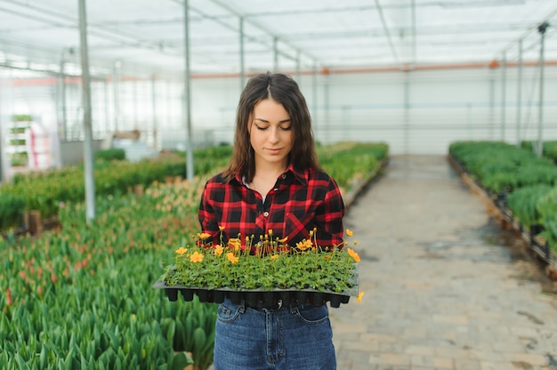 Fille, ouvrière avec des fleurs en serre