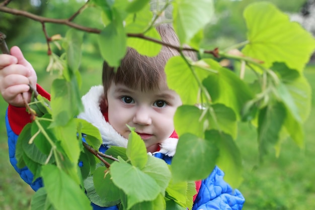 fille petite pelouse d'arbre en plein air