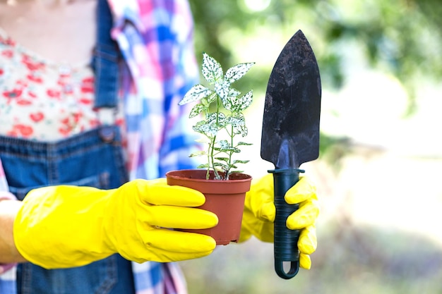 Fille plante une plante