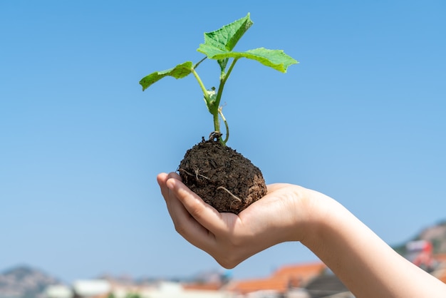 Une fille avec une plante verte dans sa main