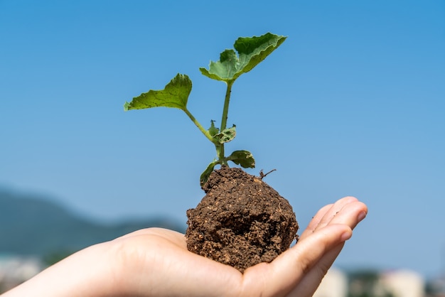 Une fille avec une plante verte dans sa main