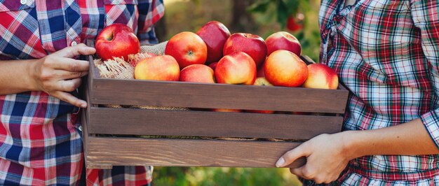 Fille avec pomme dans le verger de pommiers