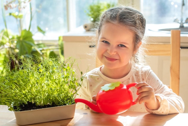 Une fille prend soin des plantes en pots L'enfant arrose les micro-verts d'un arrosoir