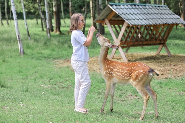 Une fille qui nourrit un mignon bambi de cerf tacheté au zoo pour enfants. Happy traveler girl aime socialiser avec les animaux sauvages dans le parc national en été. Cerf fauve bébé jouant avec des personnes dans un zoo de contact