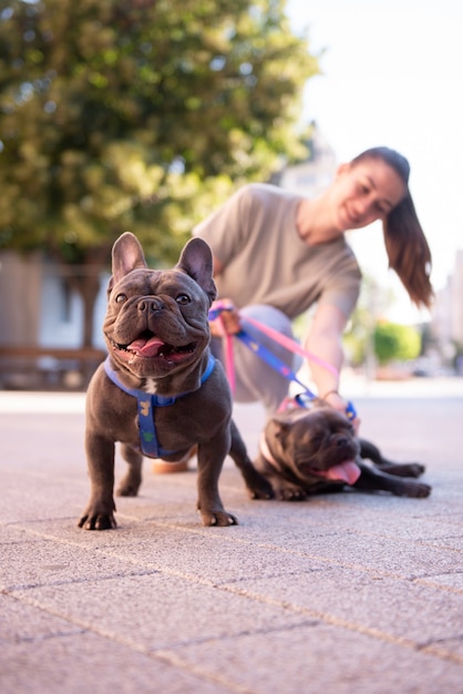 Fille qui promène les chiens à l'extérieur