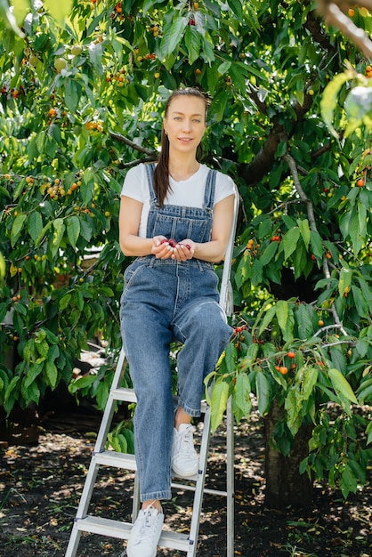 Une fille ramasse des cerises mûres dans le jardin.