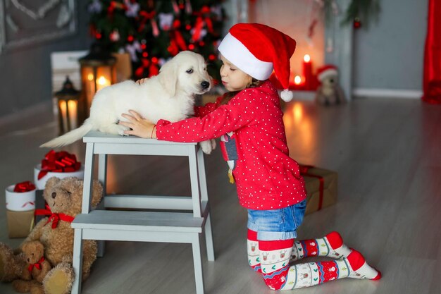 La fille a reçu un cadeau de Noël sous la forme d'un petit chiot labrador