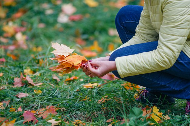 Fille recueille les feuilles d'érable d'automne dans le parc