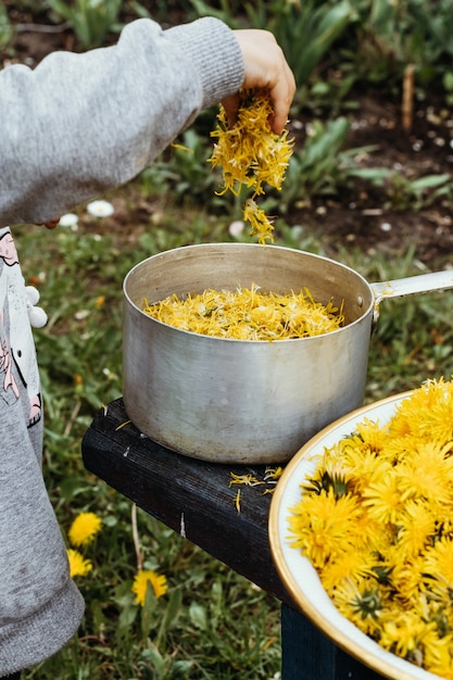 Fille recueille le pollen daniquement