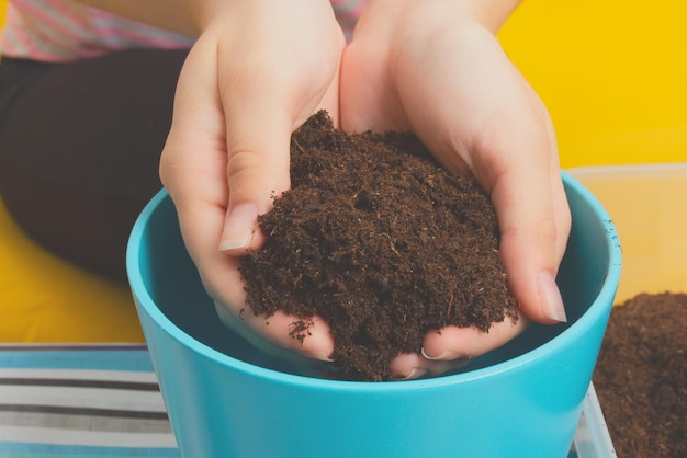 Fille replantant une plante dans un pot