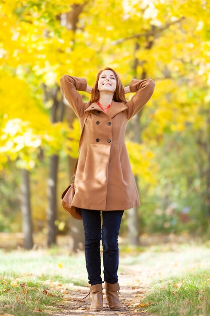 Fille rousse dans le parc d'automne