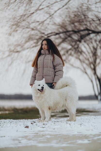 Une fille se promène avec son animal de compagnie bien-aimé Samoyed en hiver sur le rivage d'un lac dans le parc Marchant le chien en hiver