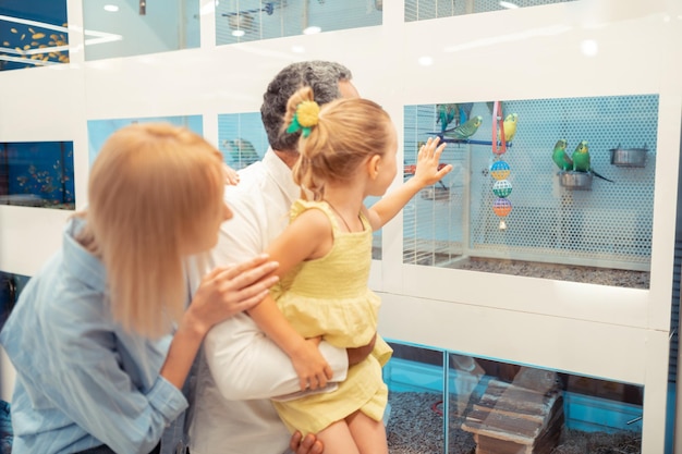 Photo fille se sentant étonnée en regardant une cage avec des perroquets