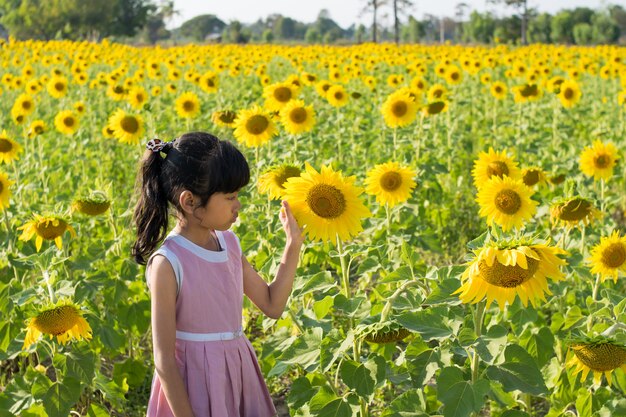 fille seule sur le champ de tournesol