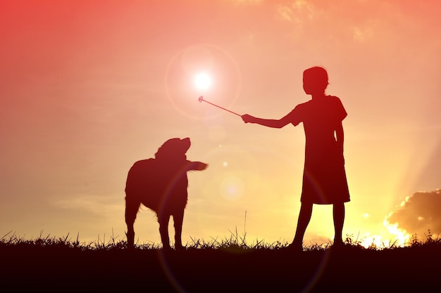 Photo fille en silhouette tenant une baguette magique debout avec un chien sur le champ contre le ciel au coucher du soleil