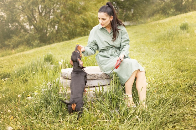 Fille avec son chien de compagnie dans le parc teckel reniflant une fleur de pissenlit