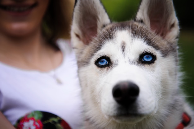 Une fille et son chien husky marchant dans un parc