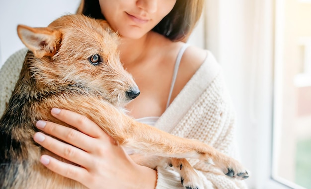 Photo fille tenant un beau chien de mélange de rue dans ses bras, aidant un chien chien abandonné