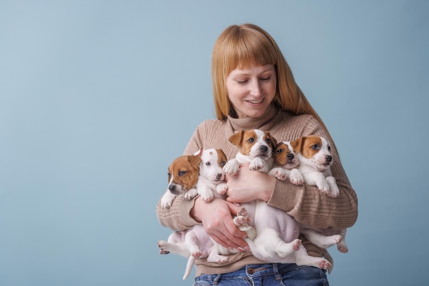 Fille tenant beaucoup de chiots jack russell terrier sur fond bleu