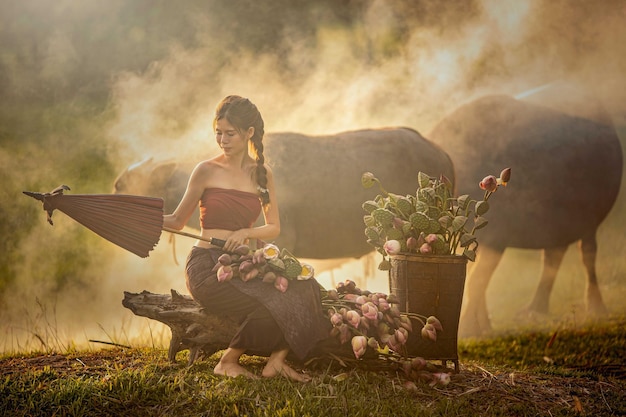 Photo fille thaïlandaise ramassant du lotus et son buffle