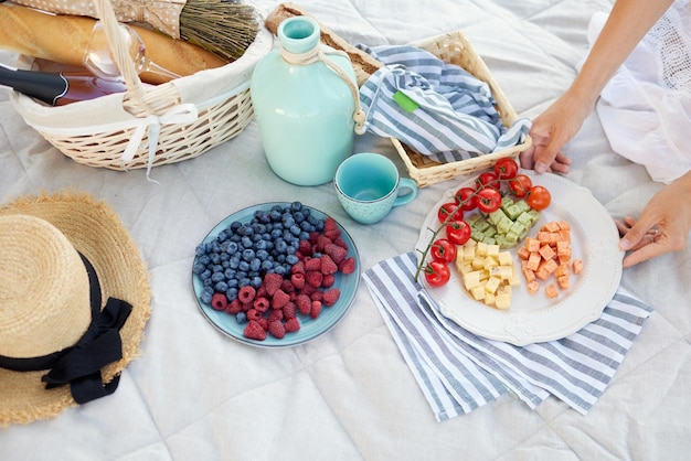 Une Fille Tient Une Assiette Avec Des Framboises Et Des Airelles Dans Ses Mains Sur L'herbe Avec Un Plaid