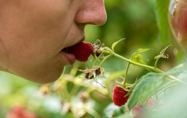 Une fille tient une baie de framboise dans sa bouche