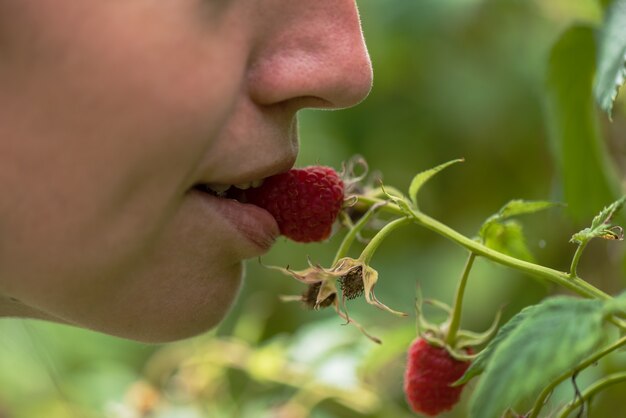 Une fille tient une baie de framboise dans sa bouche