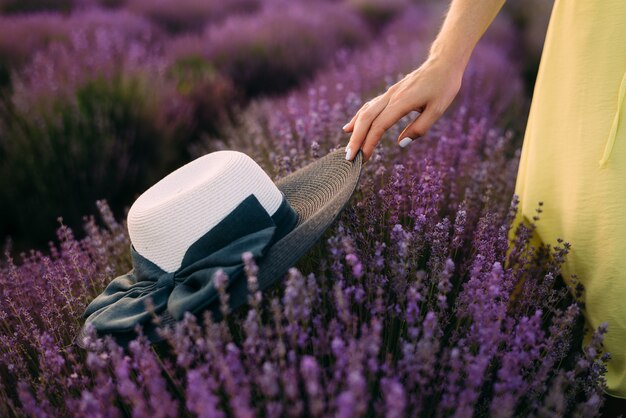 Fille tient un chapeau de paille noir et blanc sur des buissons de lavande