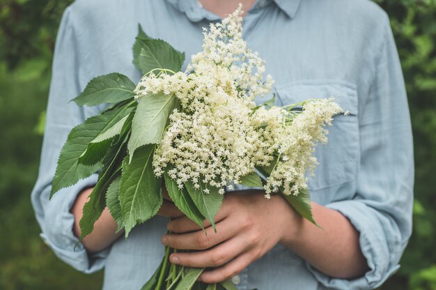 Fille tient en mains des fleurs de sureau dans le jardin