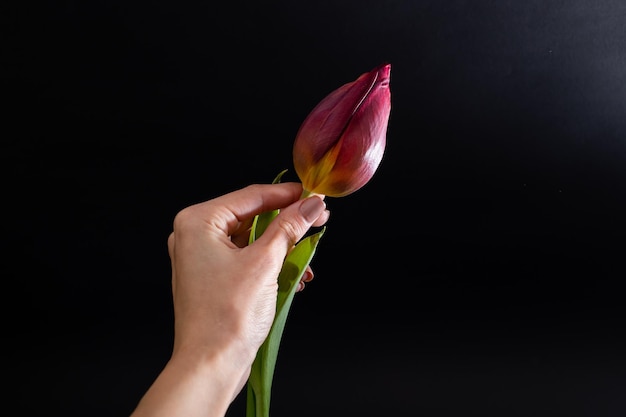 La fille touche une belle fleur avec ses mains