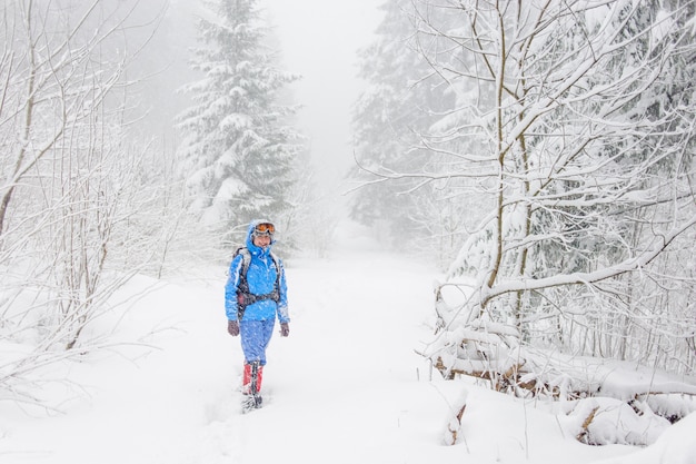 Fille de tourisme randonnée dans une forêt d&#39;hiver et en regardant la caméra