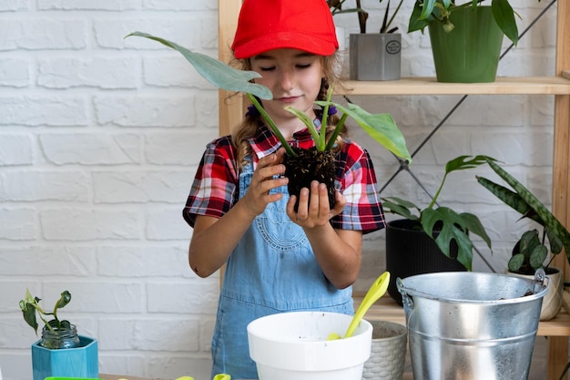 Une fille transplante un philodendron de plante d'intérieur en pot dans un nouveau sol drainé