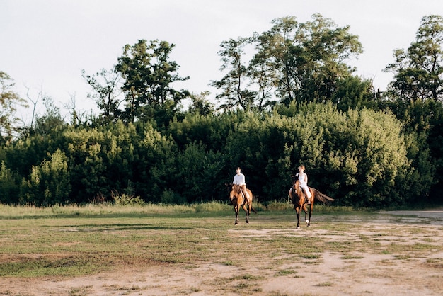 Fille vêtue d'une robe d'été blanche et un gars vêtu d'une chemise blanche lors d'une promenade avec des chevaux bruns dans le village