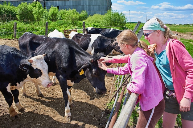 Filles caressant des vaches à la ferme