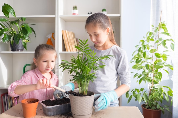 Les filles sœurs transplantent des fleurs en ajoutant de la terre aux pots sur la table Concept de jardin d'accueil