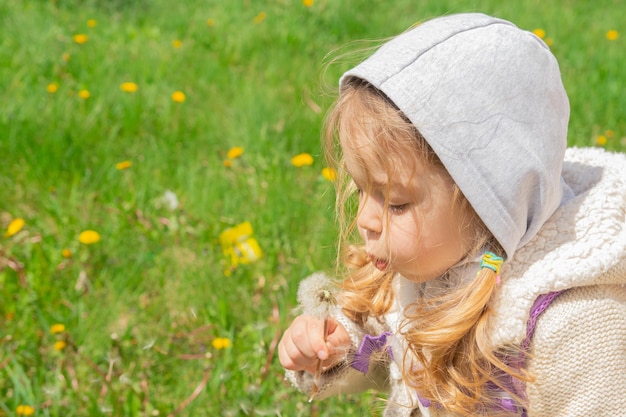 Une fillette de 3 ans joue avec des pissenlits par une journée ensoleillée de printemps