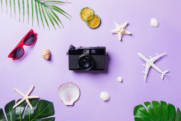 Films de caméra, avion, lunettes de soleil, feuilles, accessoires de voyageur de plage étoiles de mer