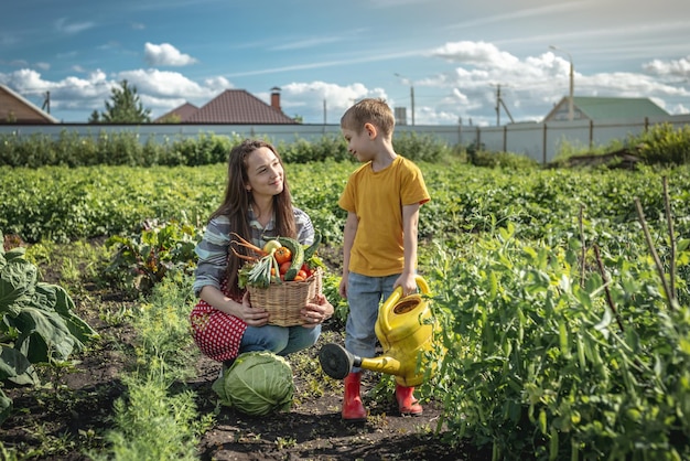 Fils enfant et mère dans le jardin vert récoltent et arrosent soigneusement les lits par une journée d'été ensoleillée