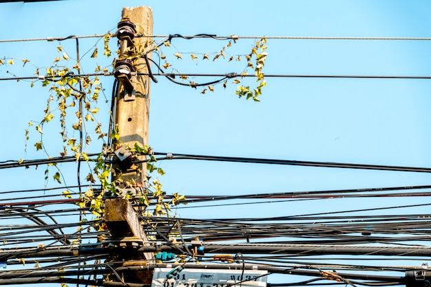 Photo fils sur poteaux électriques