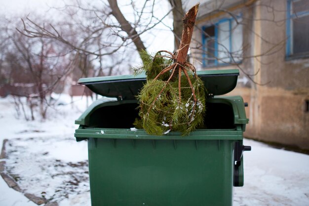 Photo fin de noël sapin coupé utilisé et abandonné dans la poubelle attend la collecte par par