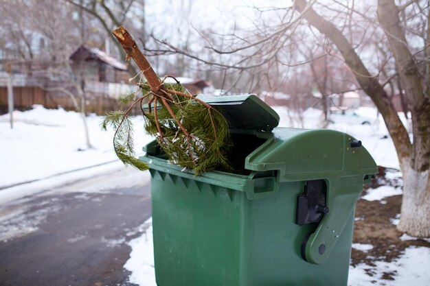 Photo fin de noël sapin coupé utilisé et abandonné dans la poubelle attend la collecte par par