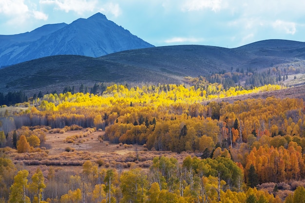 Fin de la saison d'automne dans les montagnes