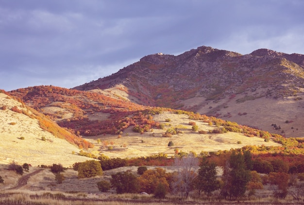 Fin de la saison d'automne dans les montagnes