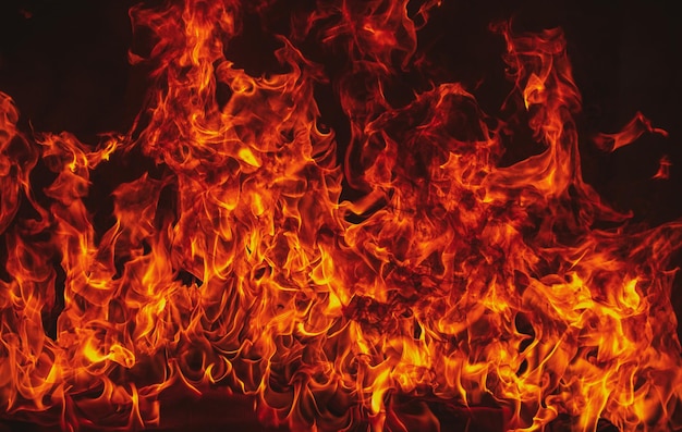 Fire blaze flammes sur fond noir feu brûler flamme texture abstraite isolée explosion flamboyante wi