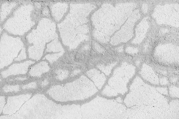 fissure sur le sol fond blanc / abstrait blanc vintage texture cassée