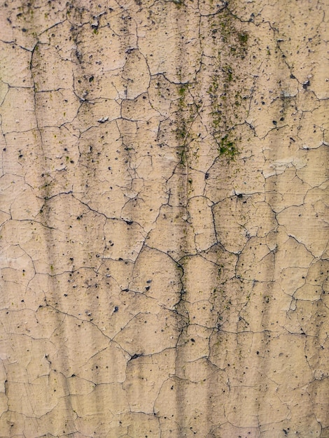 Fissures sur le mur