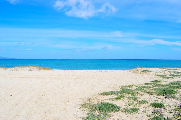 Fiume Santo par temps clair Sardaigne