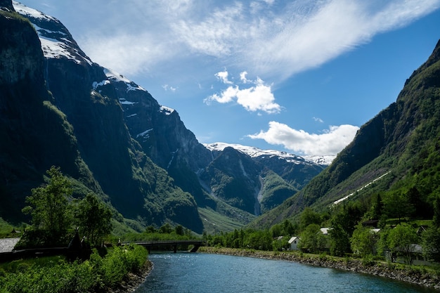 Fjord entouré d'arbres verts et de hautes montagnes en Norvège