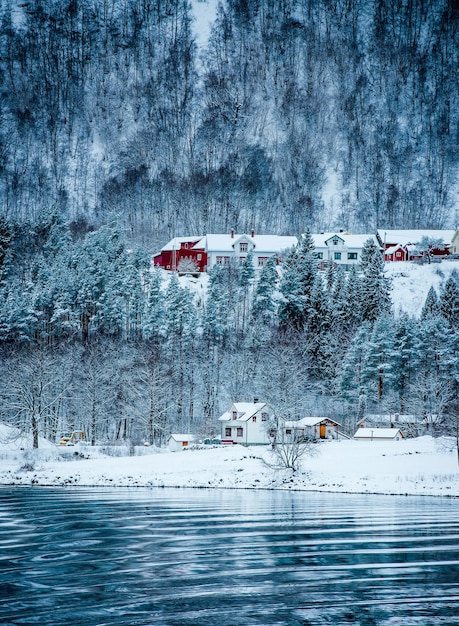 Fjords norvégiens en hiver