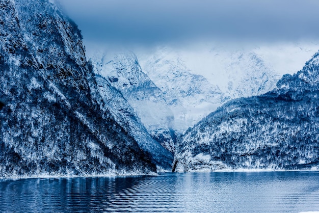 Fjords norvégiens en hiver